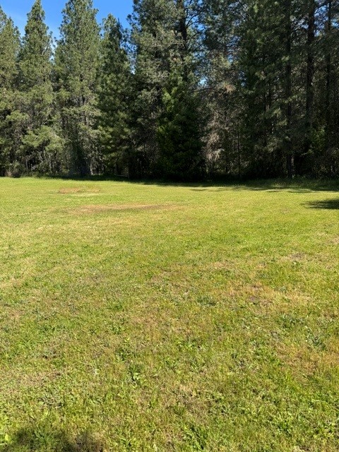 Wedding site facing Rogue River 